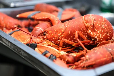 Seafood Platters