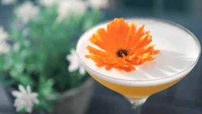 Drinks & Cocktails