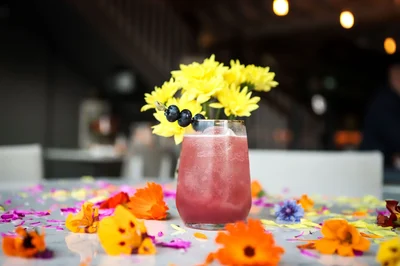 Drinks & Cocktails